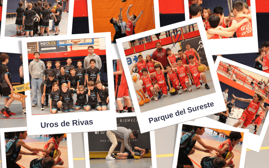 BALONCESTO, BENJAMÍN MASCULINO 2º AÑO