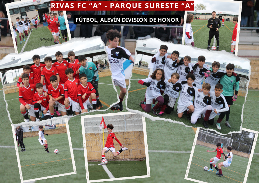 FÚTBOL, DIVISIÓN DE HONOR ALEVÍN;