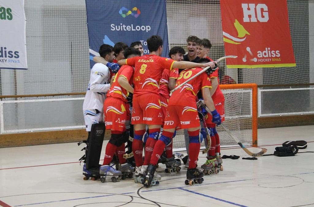 HOCKEY SOBRE PATINES, OK LIGA PLATA SUR