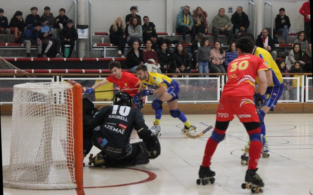HOCKEY SOBRE PATINES, OK LIGA PLATA MASCULINA SUR