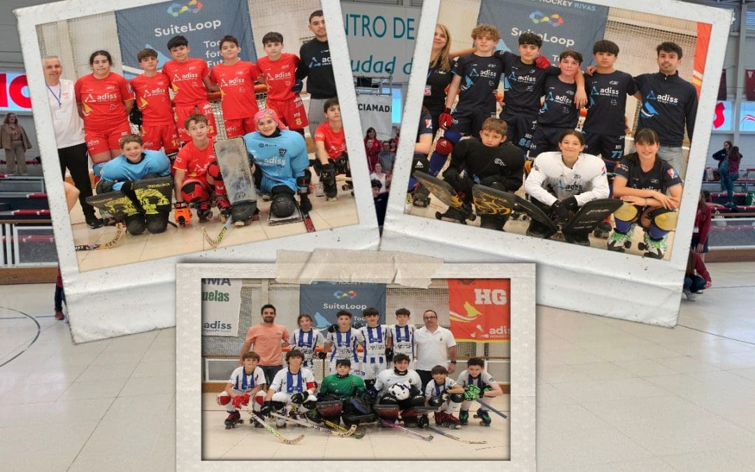 HOCKEY SOBRE PATINES, FASE DE SECTOR ALEVÍN