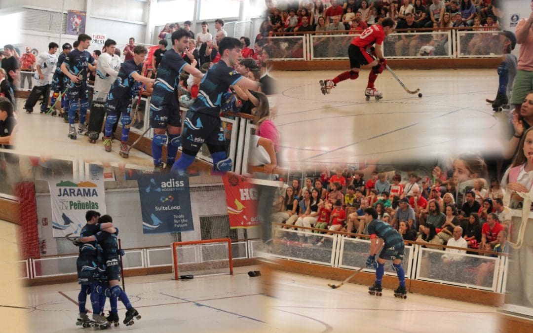 HOCKEY SOBRE PATINES, OK LIGA PLATA SUR