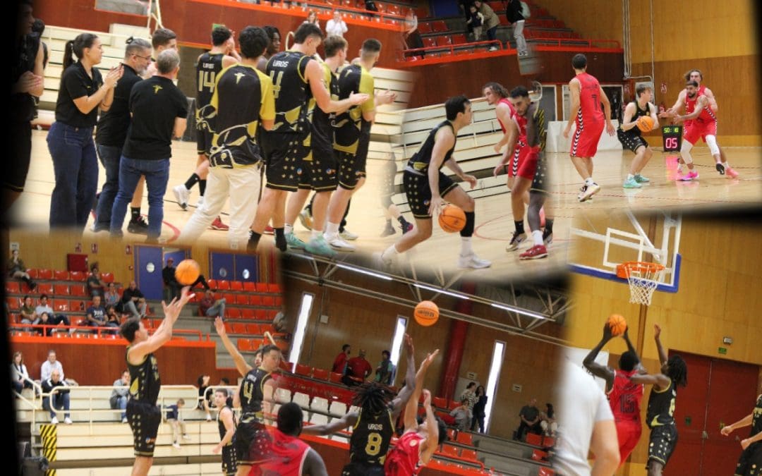 BALONCESTO MASCULINO, TERCERA FEB